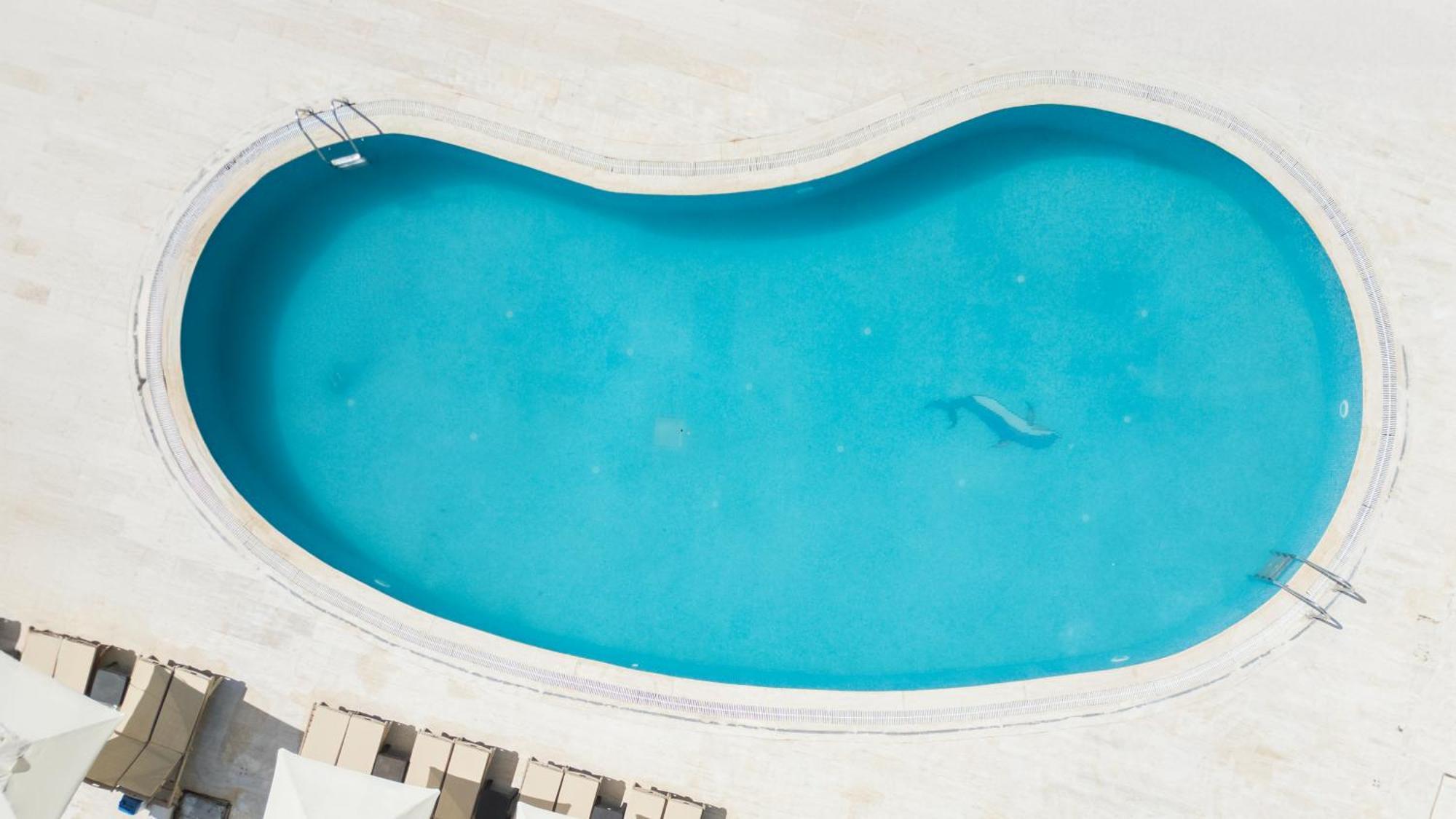 Salinas Beach Hotel Bodrum-Boutique Concept Gümbet Exteriér fotografie