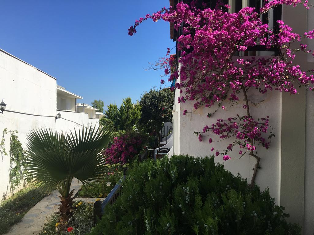 Salinas Beach Hotel Bodrum-Boutique Concept Gümbet Exteriér fotografie