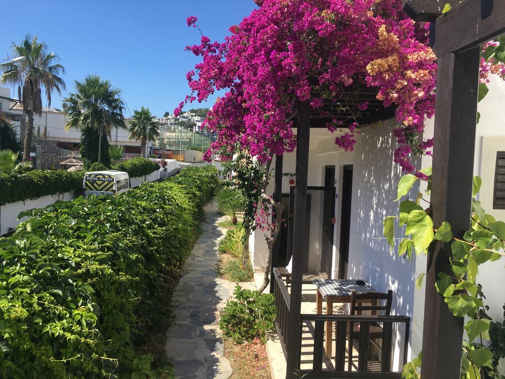 Salinas Beach Hotel Bodrum-Boutique Concept Gümbet Exteriér fotografie